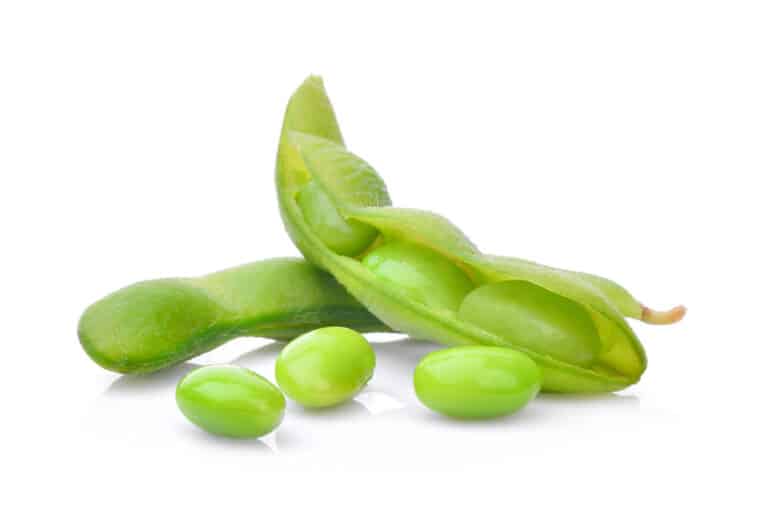 Edamame Plant Care & Growing Guide