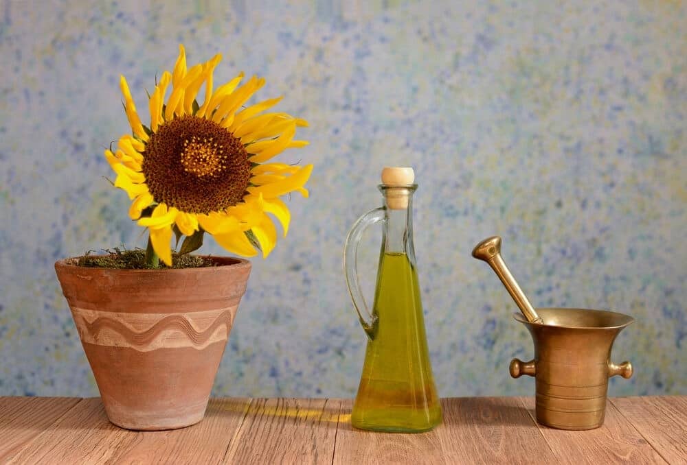 sunflower and oil