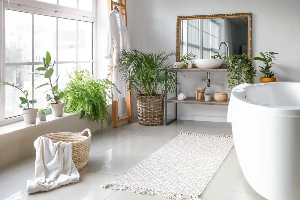 10 Best High Humidity Plants for Your Bathroom