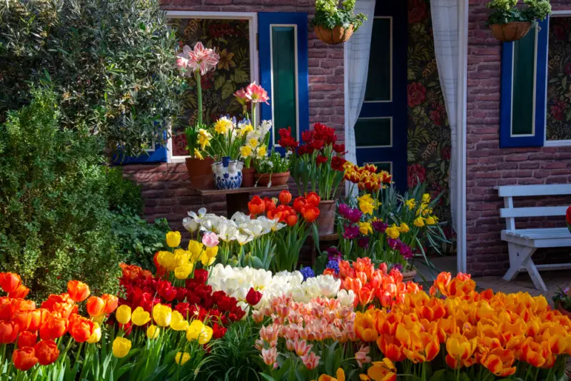 Direct vs. Indirect Light Find the Right Sunlight Levels for Plants