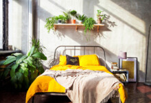 10 Best Indoor Houseplants for the Bedroom