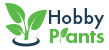 Hobby Plants