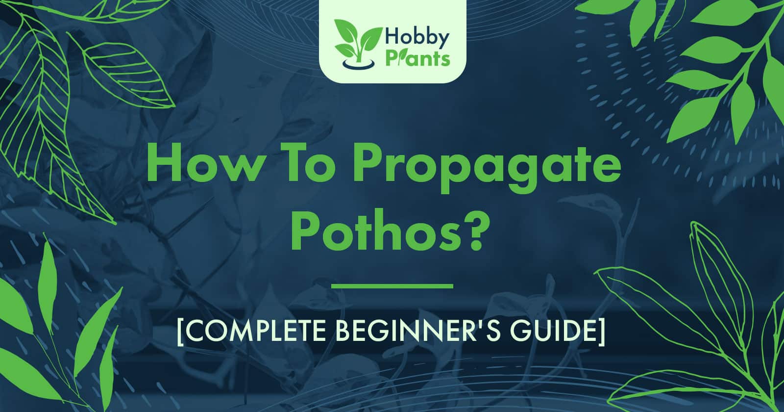 how to propagate pothos
