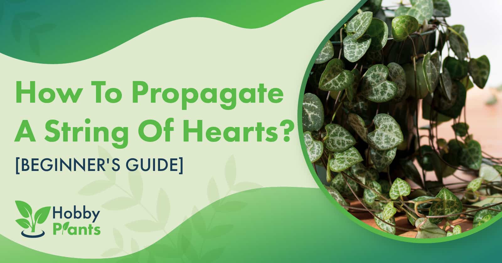 how to propagate string of hearts