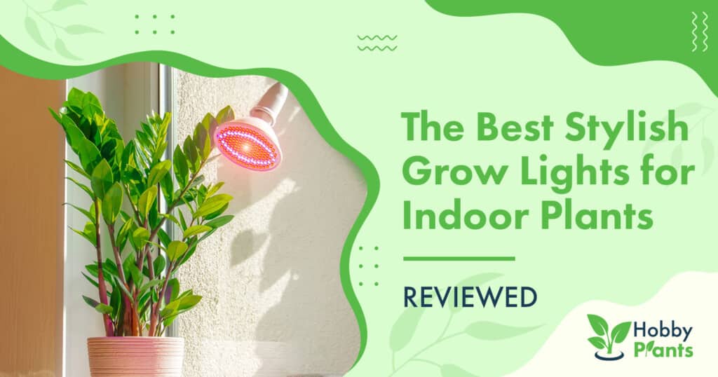 stylish grow lights for indoor plants