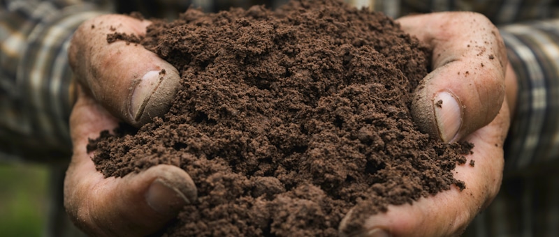 hands soil