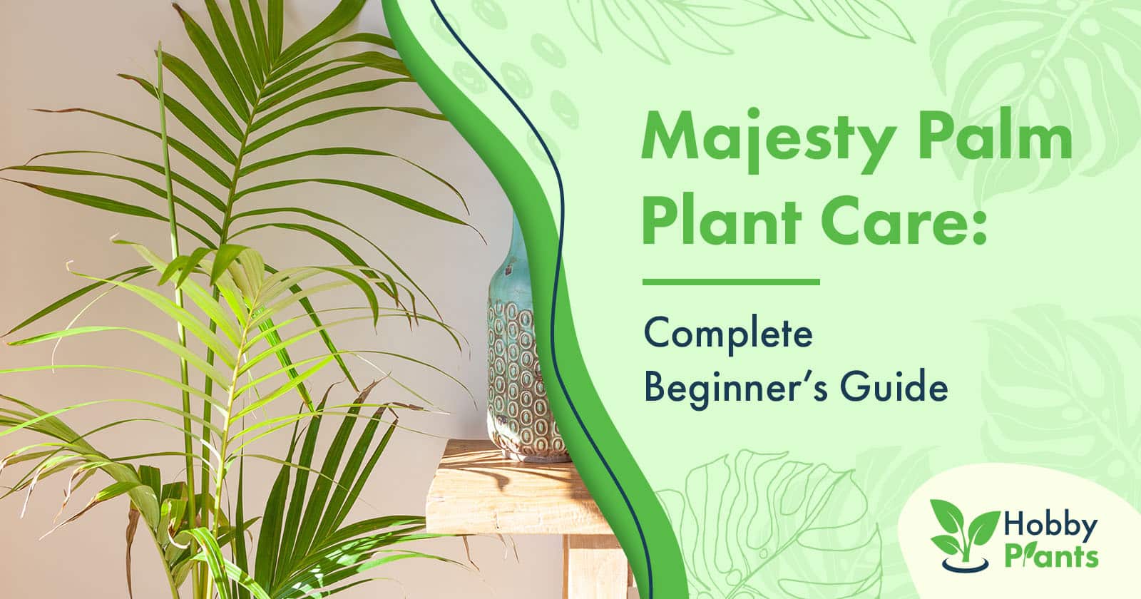 majesty palm care